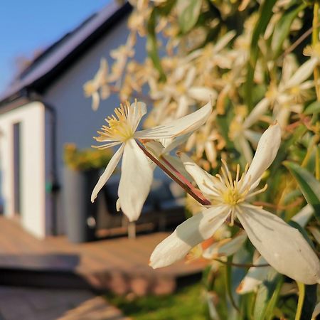 Hastings Casita, 'Little House' Self Contained Garden Lodge, Close To Town And Seafront Eksteriør billede