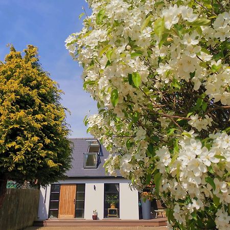 Hastings Casita, 'Little House' Self Contained Garden Lodge, Close To Town And Seafront Eksteriør billede