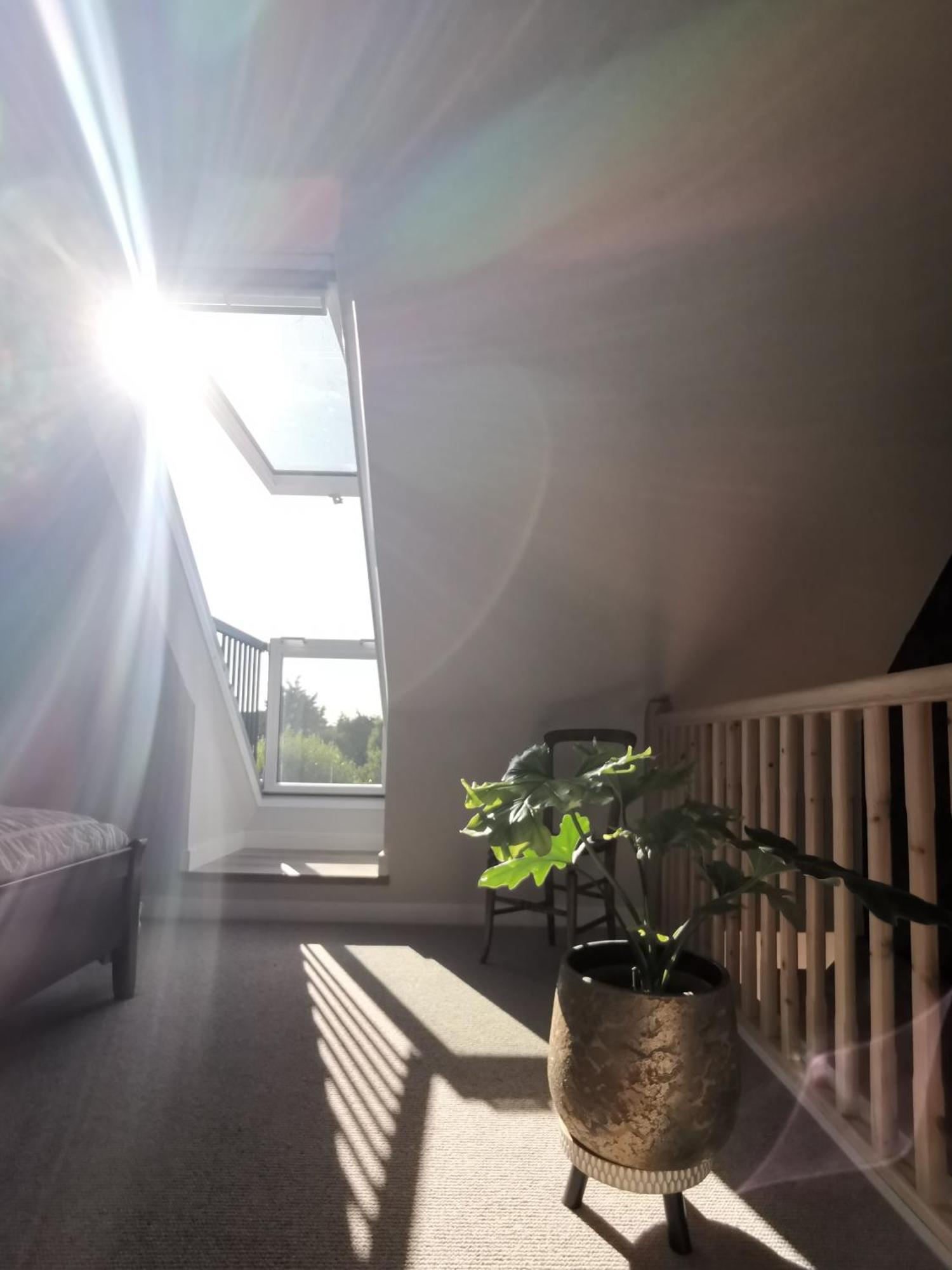 Hastings Casita, 'Little House' Self Contained Garden Lodge, Close To Town And Seafront Eksteriør billede