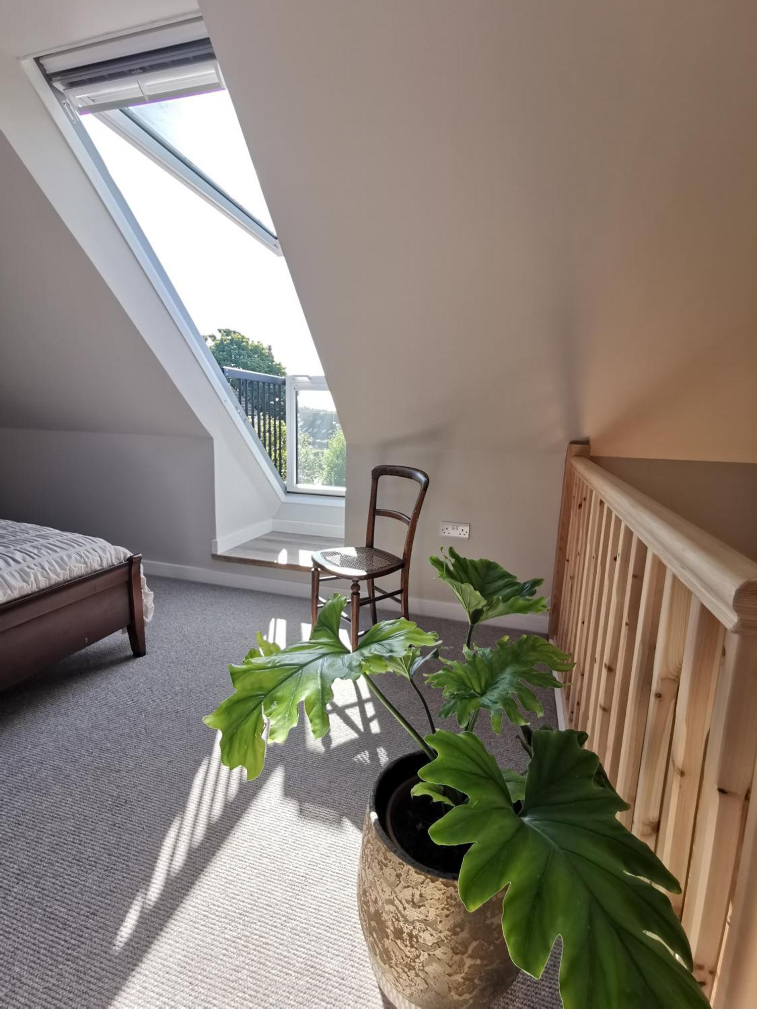 Hastings Casita, 'Little House' Self Contained Garden Lodge, Close To Town And Seafront Eksteriør billede