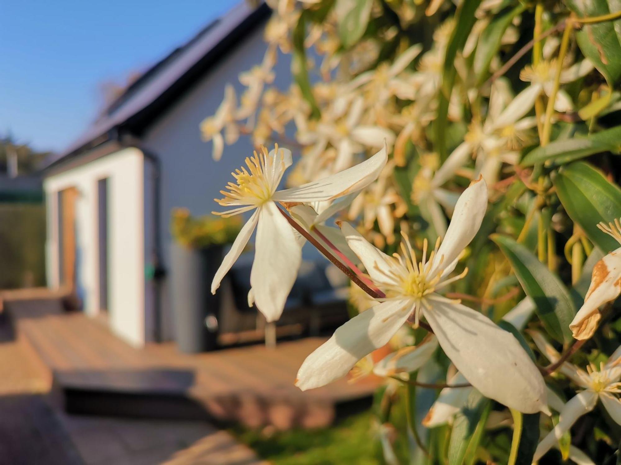 Hastings Casita, 'Little House' Self Contained Garden Lodge, Close To Town And Seafront Eksteriør billede