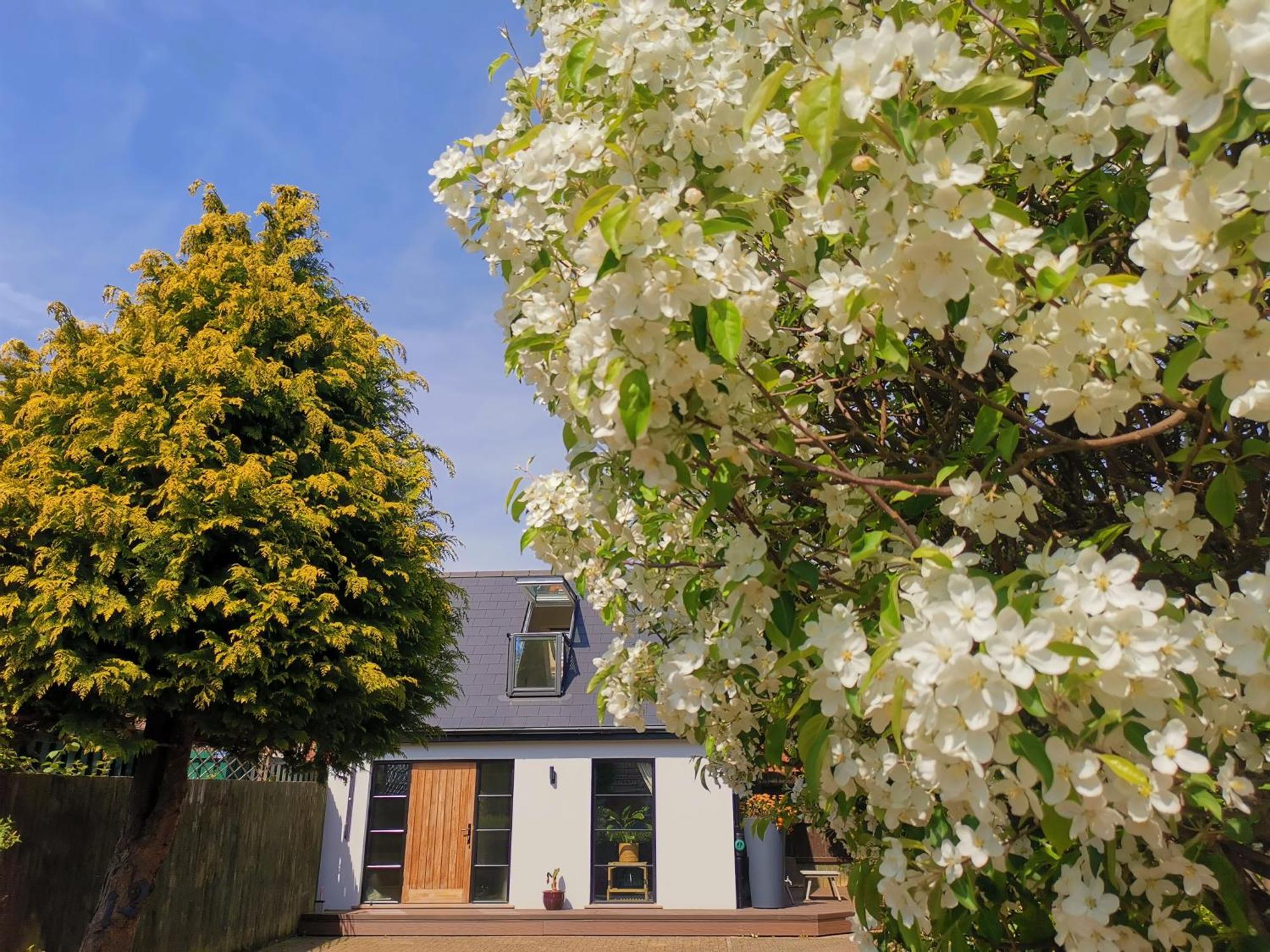 Hastings Casita, 'Little House' Self Contained Garden Lodge, Close To Town And Seafront Eksteriør billede